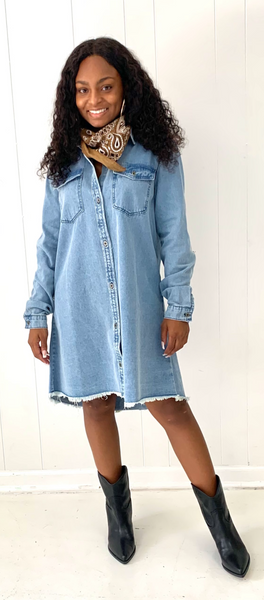 Mason Denim Dress