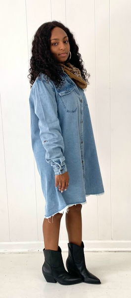 Mason Denim Dress